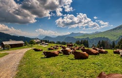 La Côte-d'Arbroz, Rhône-Alpes 74110