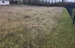 miramont de guyenne, Nouvelle-Aquitaine 47800