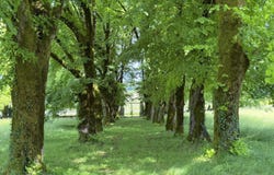 Verteillac, Aquitaine 24320
