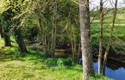 PRESSAC, Nouvelle-Aquitaine 86460