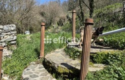 Espérausses, Midi-Pyrénées 81260