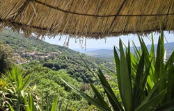 Sollacaro, Corse-du-Sud 20140