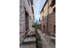 Le Luc, Provence-Alpes-Côte d'Azur 83340