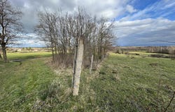 Montbrison, Loire 42600