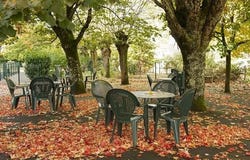 Terrasson-Lavilledieu, Dordogne 24120