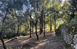 OLARGUES, Occitanie 34390