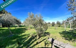 Chateauneuf-Du-Rhone, Rhône-Alpes 26780