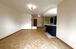 La Riche, Indre-et-Loire 37520