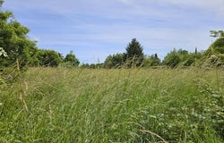 Saint-Caprais-De-Bordeaux, Aquitaine 33880