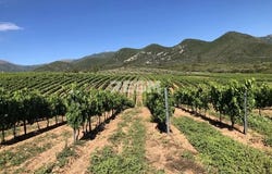 Cervione, Haute-Corse 20221