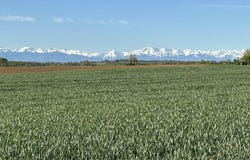Masseube, Midi-Pyrénées 32140