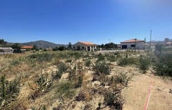 Vinça, Pyrénées-Orientales 66320
