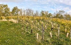 LE LOUVEROT, Bourgogne-Franche-Comté 39210