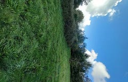 Saint-Just, Bretagne 35550