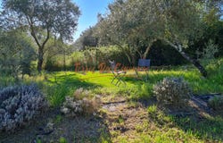 Lédignan, Languedoc-Roussillon 30350