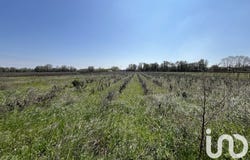 Codolet, Occitanie 30200