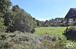 SAINT-MARTIN-DE-HINX, Nouvelle-Aquitaine 40390
