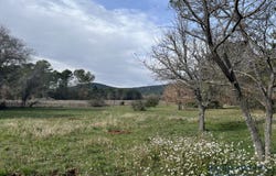 Nans-les-Pins, Provence-Alpes-Côte d'Azur 83860