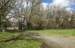 Haute-Goulaine, Pays de la Loire 44115