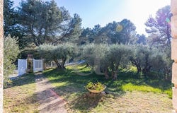 Barbentane, Provence-Alpes-Côte d'Azur 13570