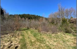 Le Tholy, Lorraine 88530