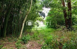Rouans, Pays de la Loire 44640