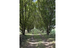 Le Fousseret, Haute-Garonne 31430