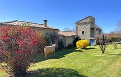 Gourdon, Midi-Pyrénées 46300