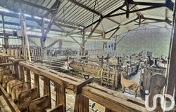 Le Mas-d'Agenais, Nouvelle-Aquitaine 47430