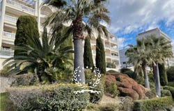 Cannes, Alpes-Maritimes 06400