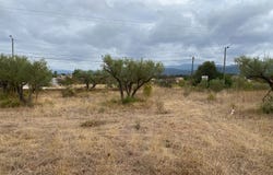 Gonfaron, Var 83590
