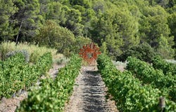 Minerve, Languedoc-Roussillon 34210