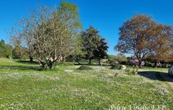 Bergerac, Aquitaine 24100