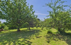 Verteillac, Aquitaine 24320
