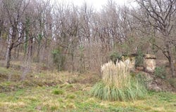 Saint-Céré, Occitanie 46400