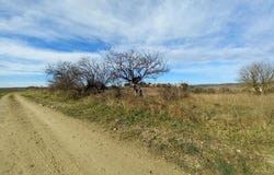 Caux, Languedoc-Roussillon 34720
