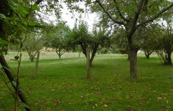 Beaufay, Pays de la Loire 72110