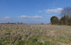 Louhans, Bourgogne 71500
