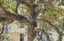 Orange, Provence-Alpes-Côte-d'Azur 84100