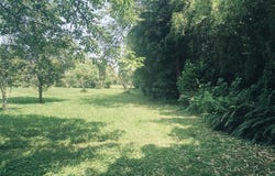 Pouillon, Nouvelle-Aquitaine 40350