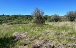 Saint-Brès, Gard 30500