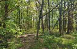 Loreux, Loir-et-Cher 41200