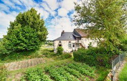 Brassy, Burgundy 58140