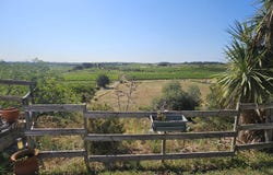 CREISSAN, Occitanie 34370