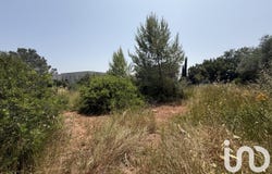 Le Cannet-des-Maures, Provence-Alpes-Côte d'Azur 83340