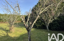 Riantec, Brittany 56670