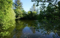 Corgnac-sur-l'Isle, Dordogne 24800
