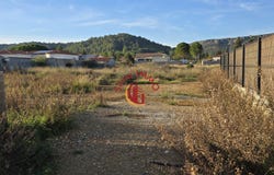 Tautavel, Languedoc-Roussillon 66720