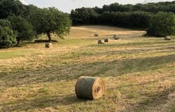 Nanteuil-En-Vallee, Charente