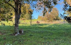 Rioz, Franche-Comté 70190
